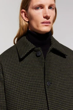 Albert green check