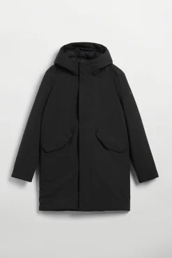 Hjalmar black