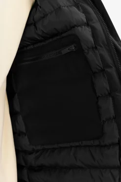 Hjalmar black