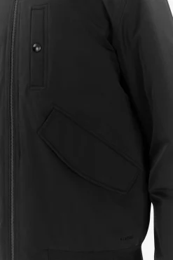 Ludvig black