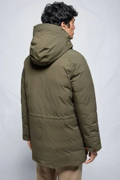 Povel dusk olive